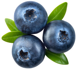 Blueberry isolated png. Blueberry with leaves top view on transparent background. Perfect retouched blueberry no background. three png blueberries. Full depth of field.