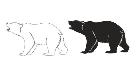 vector illustration of a bear 