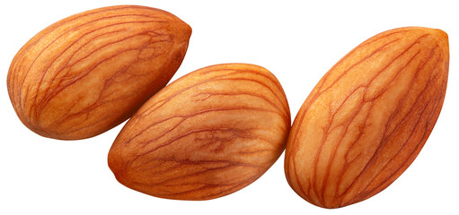 Almond isolated png. Three almond nuts on white or transparent background. Perfect retouched almond no background top view. Transparent png. Full depth of field.