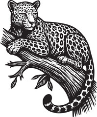 leopard resting on top of a tree vector illustration