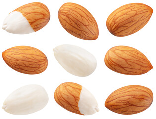 Almond isolated png. Almond nuts on white or transparent background. Perfect retouched almonds no background top view. Almond collection. Transparent png. Full depth of field.