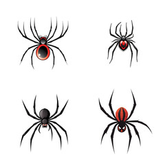 Obraz premium Black and Red Widow Spider Illustration