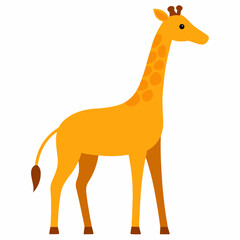 Giraffe with white background
