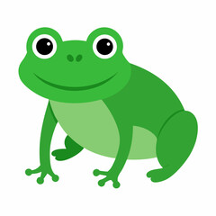 Fototapeta premium frog on white background