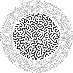 circular Black and white abstract turing pattern for frame background