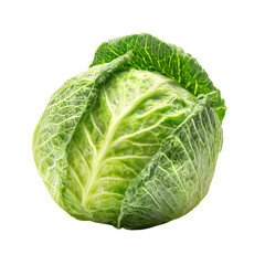 Fototapeta premium cabbage isolated on white background