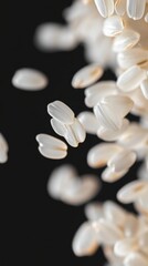 Obraz premium Luxury minimalist poster with jasmine rice seed closeup, black background, elegant negative space, macro food texture, premium aesthetic