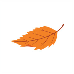 Obraz premium leaf,orange,fall high resolution vector autumn element for seasonal designs packaging labels online campaign visuals and social graphics warm harvest themes