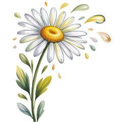 Artistic illustration of a delicate daisy flower with green leaves and yellow droplets