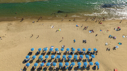 Aerial perpendicular view of a beach club with blue umbrellas on a sandy coast. There are people on...