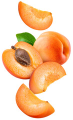 Apricot isolated png. Apricots: whole, piece, slice and leaf flying on transparent background. Fresh cut apricot fall. Sliced apricot no background. Full depth of field. Transparent png.