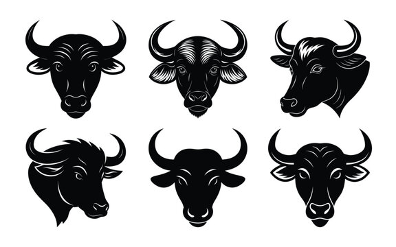 Black buffalo head set on white background
