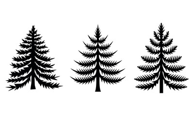 Obraz premium Silhouette Set of Three Different Pine Tree Icons Isolated on White Background