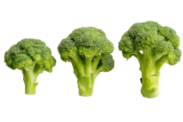 Three broccoli florets isolated on transparent background