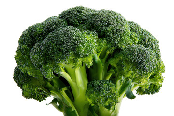 Lush, green broccoli floret isolated on transparent background