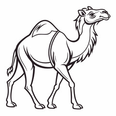 camel vector illustration