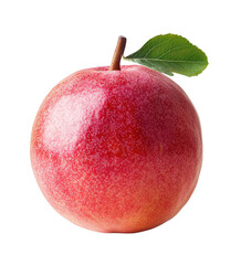 Fototapeta premium Single Red Apple with Leaf