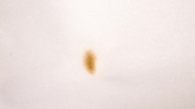 Film burn video transitions. Animated paper burning on fire background.