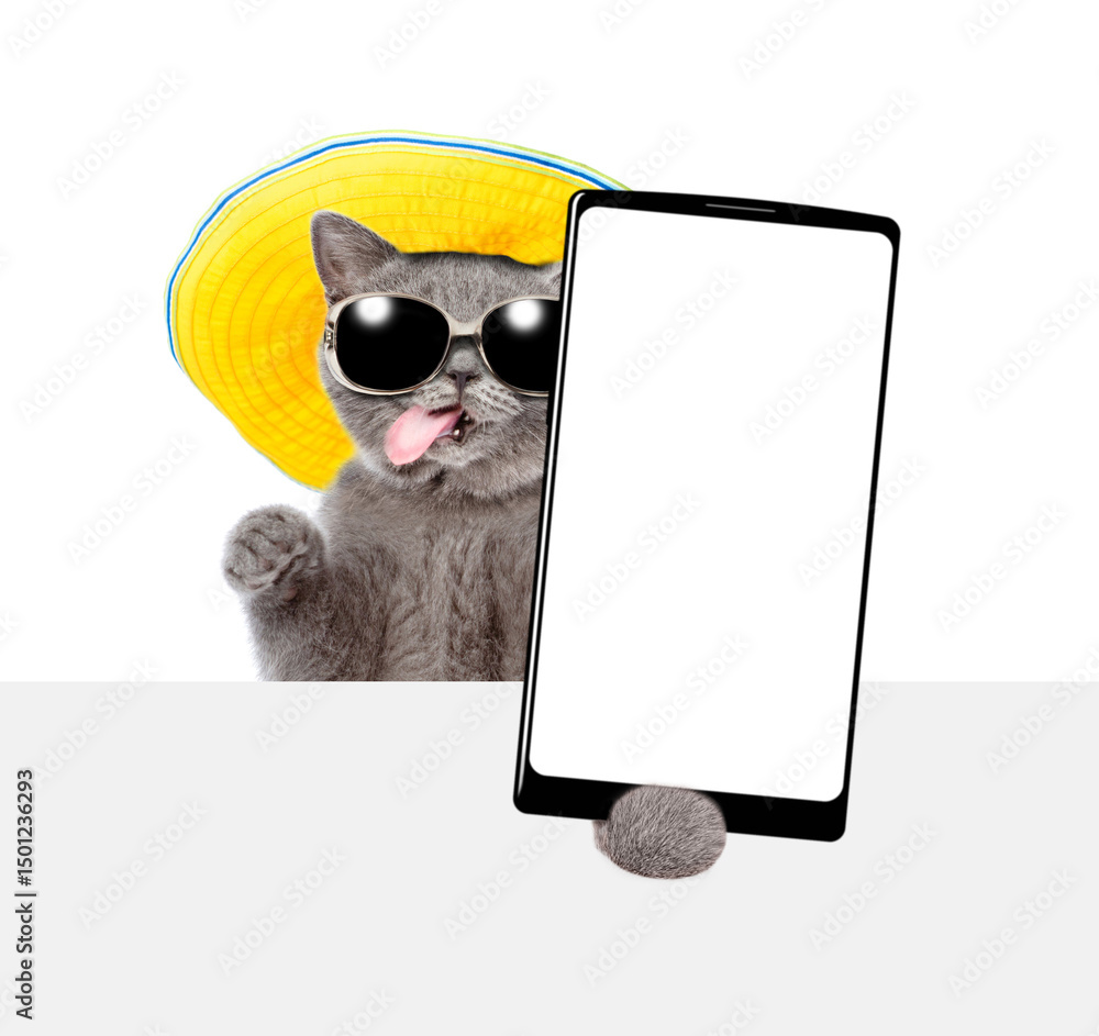 Aufkleber funny cat wearing sunglasses and summer hat looks above blank white board with tongue out and showin