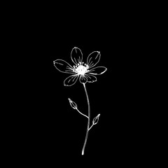 Botanical Line Art Delicate White Flower