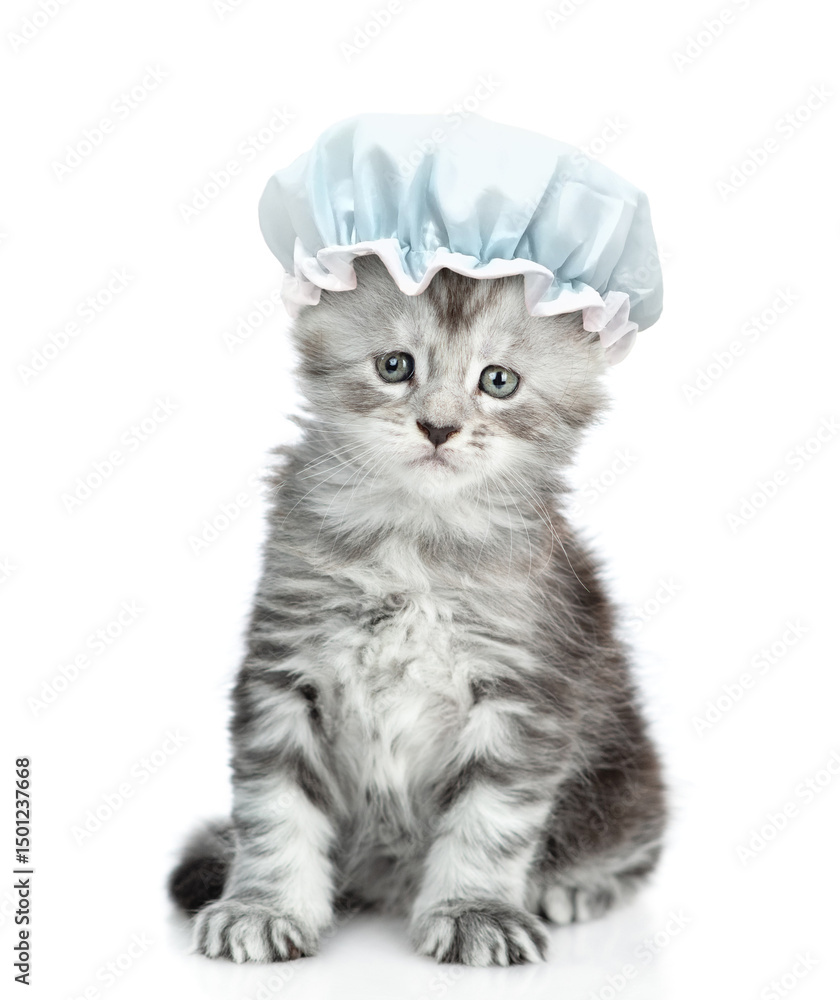Aufkleber funny maine coon kitten with shower cap on it head sits in front view and looks at camera. isolated 