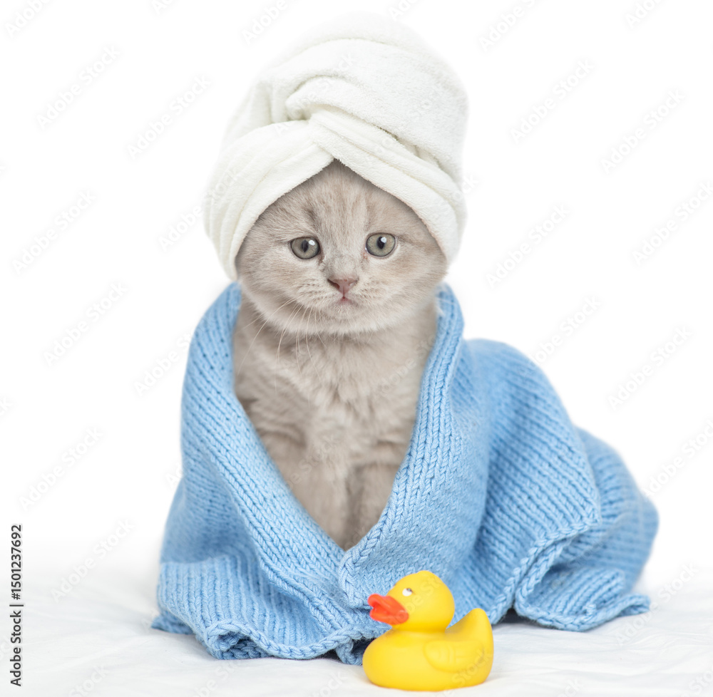 Aufkleber Cute kitten with tiny towel on it head wrapped in blue towel after bathing sitting with rubber duck