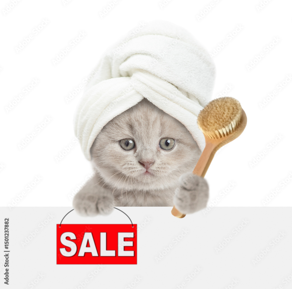 Poster Cute kitten with towel on it head holds shower brush and shows signboard with labeled 