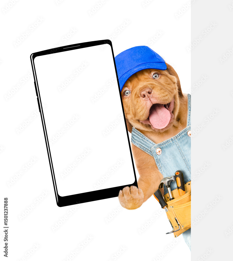 Leinwandbilder happy mastiff puppy wearing blue cap and denim overalls with tool belt shows big smartphone with bla