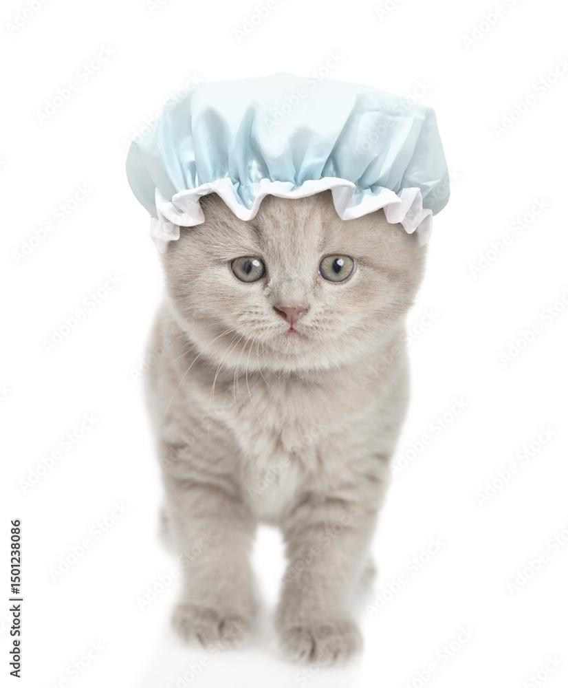Leinwandbilder funny kitten with shower cap on it head stands in front view and looks at camera. isolated on white 