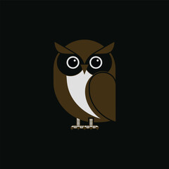 A cute and whimsical illustration of a cartoon owl, featuring big eyes and a friendly expression. This design is perfect for children's products, educational materials