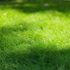 close-up view of a grassy field, As a background for websites, advertisements, or presentations emphasizing nature or sustainability.