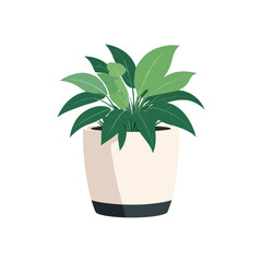 Vector Plant Pot on white background