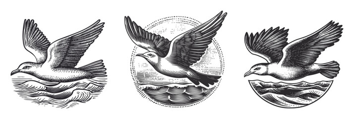 Vintage Style Vector Illustrations of Flying Birds over Water Waves