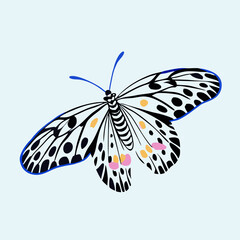 Black and White Butterfly with Pink Spots Illustration
