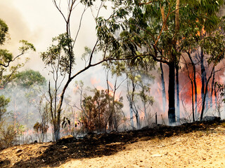 Climate change and the Australian black summer bushfires