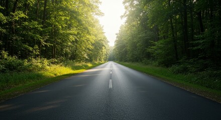 Fototapeta premium Photo A Road Through Green Forest with Sunlight and Shadow in a Summer Day