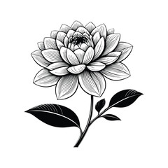 black and white flower, Set of detailed various flowers and foliage, intricate details and delicate forms. Hand drawn vector illustration with elegant botanical elements for invitation