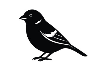 House sparrow silhouette vector bundle  illustration, House Sparrow Silhouette Vector Bundle  Black Bird Illustrations on White Background

