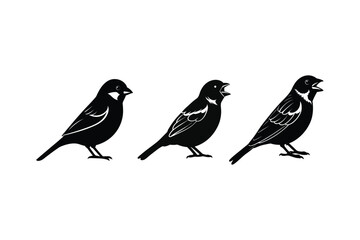 Fototapeta premium House sparrow silhouette vector bundle illustration, House Sparrow Silhouette Vector Bundle Black Bird Illustrations on White Background
