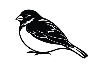 House sparrow silhouette vector bundle  illustration, House Sparrow Silhouette Vector Bundle  Black Bird Illustrations on White Background

