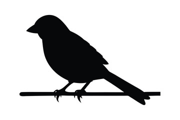 House sparrow silhouette vector bundle  illustration, House Sparrow Silhouette Vector Bundle  Black Bird Illustrations on White Background

