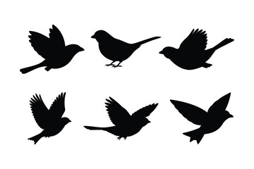 House sparrow silhouette vector bundle  illustration, House Sparrow Silhouette Vector Bundle  Black Bird Illustrations on White Background


