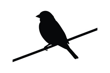 House sparrow silhouette vector bundle  illustration, House Sparrow Silhouette Vector Bundle  Black Bird Illustrations on White Background

