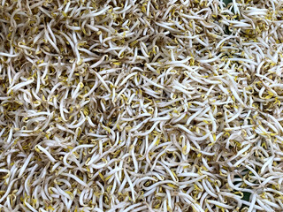 A pile of bean sprouts