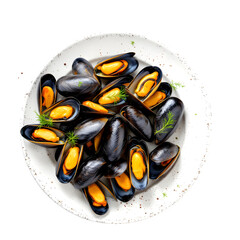 A top down view of a plate filled with cooked mussels and garnished with fresh dill sprigs on a black background isolated with white background
