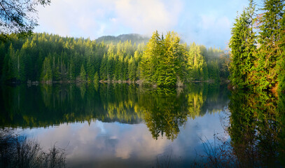 Beautiful forest Rice Lake in coniferous forest. Scenic Pacific Northwest Coast rainforest. Vancouver, British Columbia, Canada