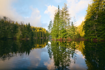 Beautiful forest Rice Lake in coniferous forest. Scenic Pacific Northwest Coast rainforest. Vancouver, British Columbia, Canada