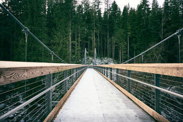Obraz premium Scenic Pacific Northwest Coast rainforest. Seymour River Suspension Bridge in beautiful coniferous forest. Vancouver, British Columbia, Canada