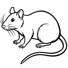 Fototapeta premium rat