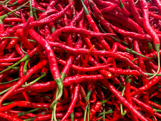Red chilli peppers